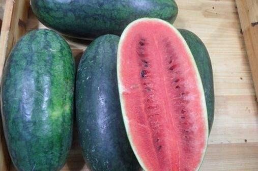 张露文黑料吃瓜,揭秘娱乐圈背后的真相