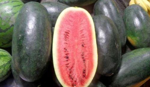 天然琪黑料吃瓜