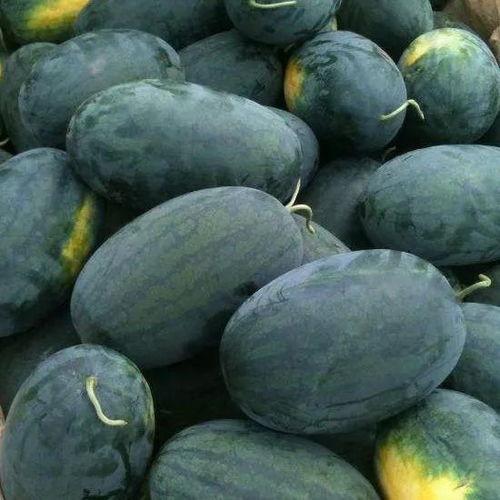 51黑料吃瓜热门吃瓜校园露